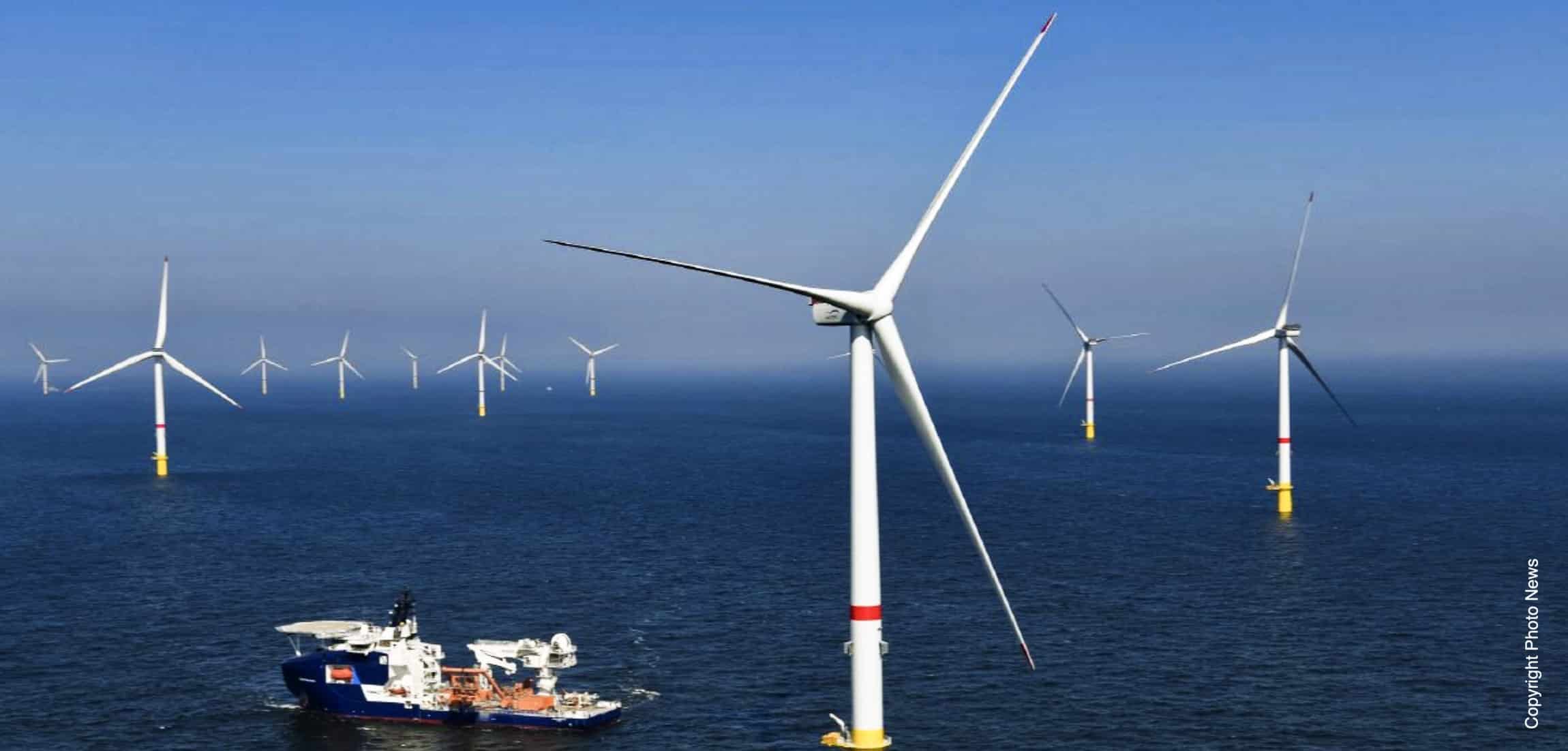 15 jaar monitoring van de ecologische effecten van Belgische offshore windparken levert nog steeds nieuwe inzichten op