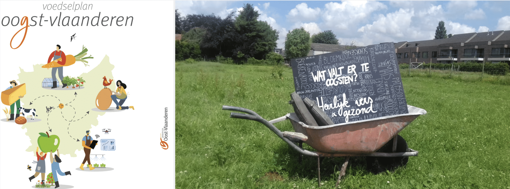 Subsidiethema Oogst-Vlaanderen wordt verlengd in 2024