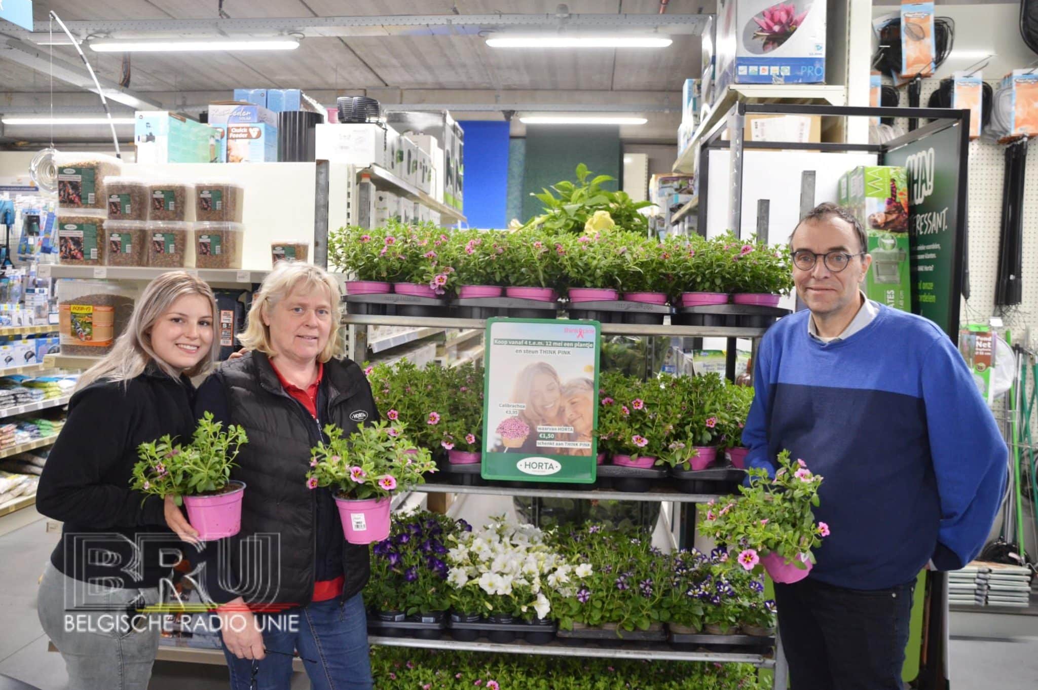 Horta Dendauw