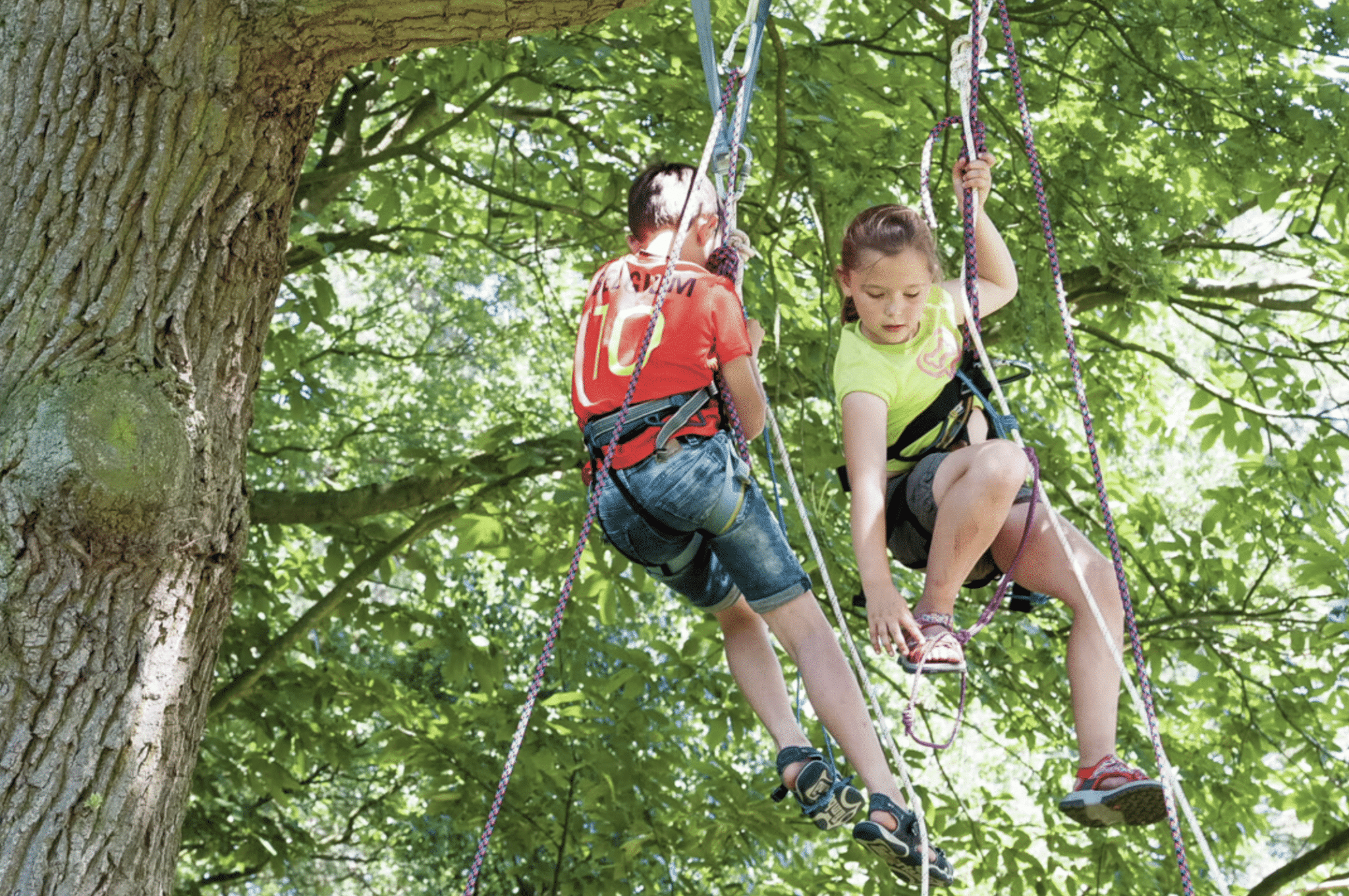 Superchill de zomer in met de Provincie Oost-Vlaanderen
