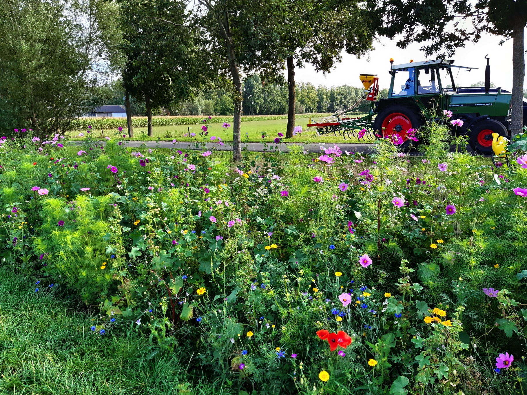 Provincie Oost-Vlaanderen lanceert jaarlijkse groepsaankoop plantgoed voor landbouwers, imkers en tuinders