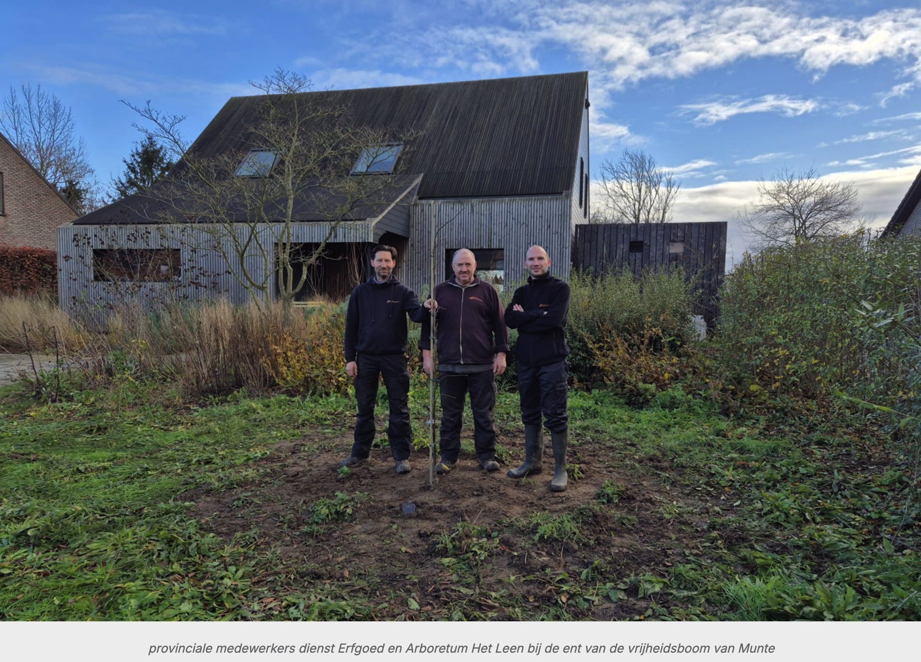 Provincie Oost-Vlaanderen plant ent vrijheidsboom Munte