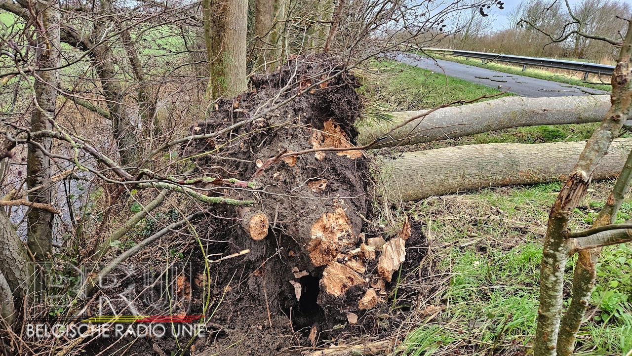 Stormschade in de Westhoek