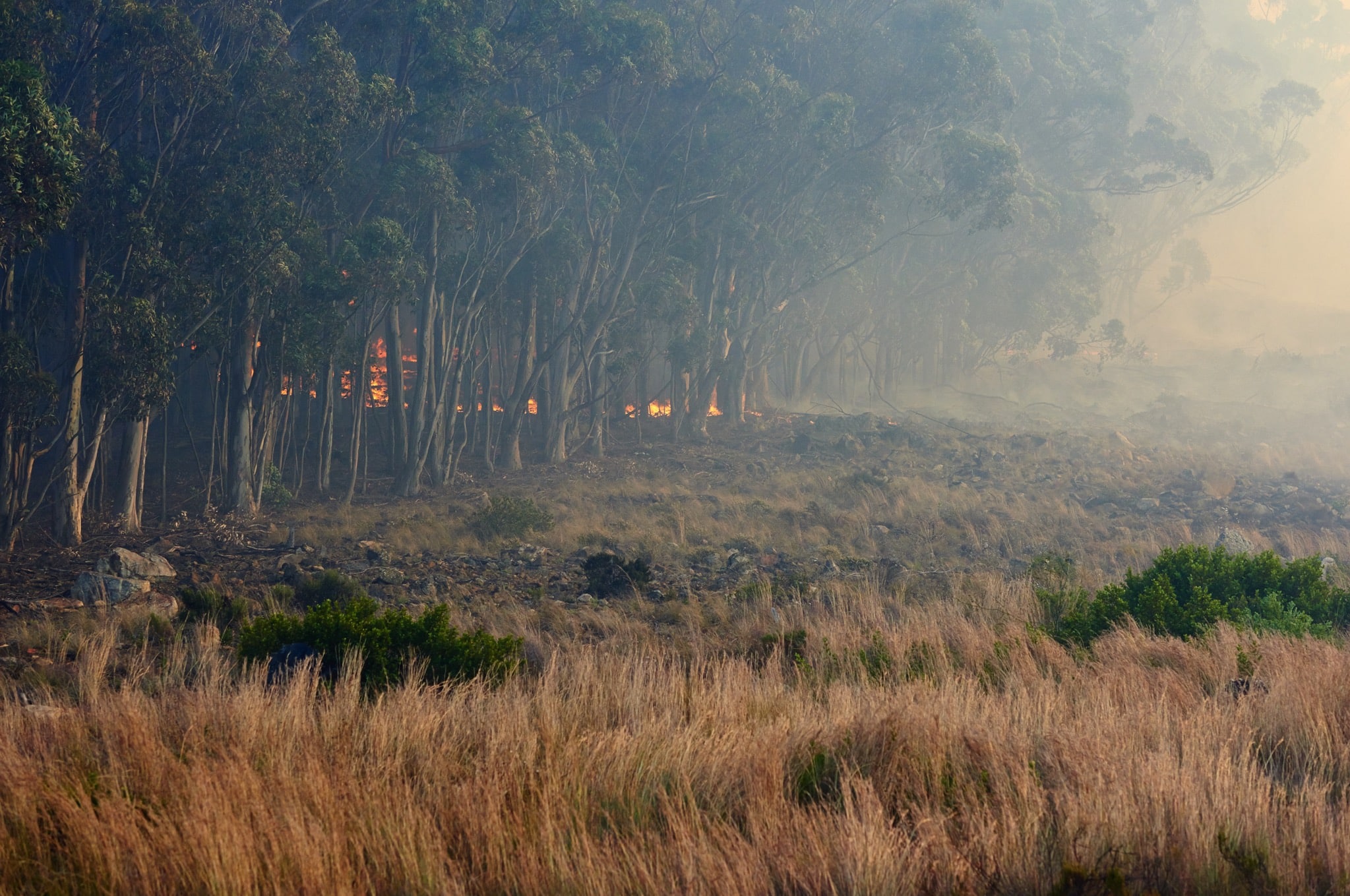 Hoog brandgevaar in natuurgebieden