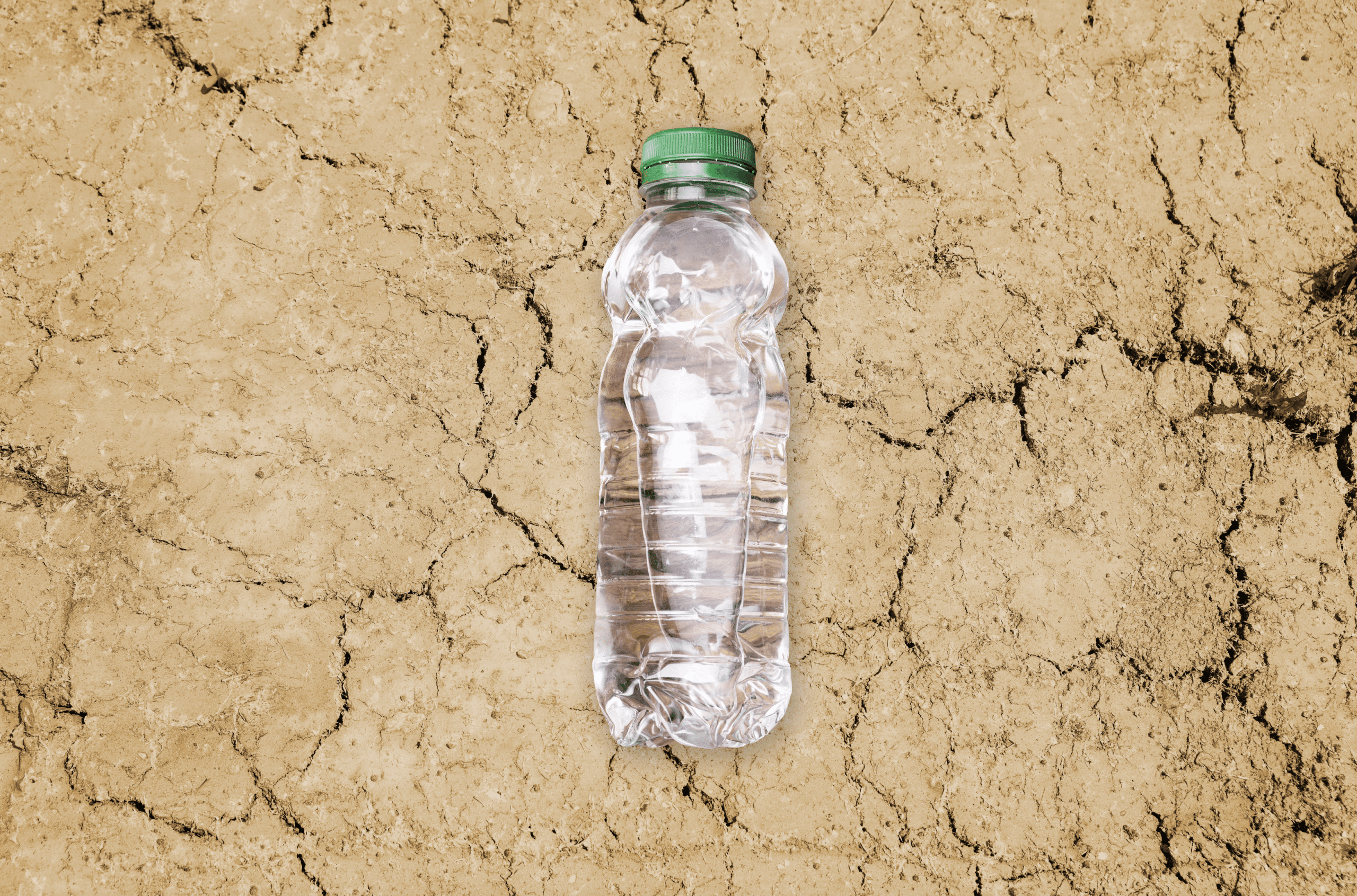 Van kletsnat naar kurkdroog - uitdagingen en oplossingen voor waterbeheer