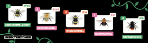Resultaten Hommelweekend: veel hommels gezien tijdens een zonnig weekend