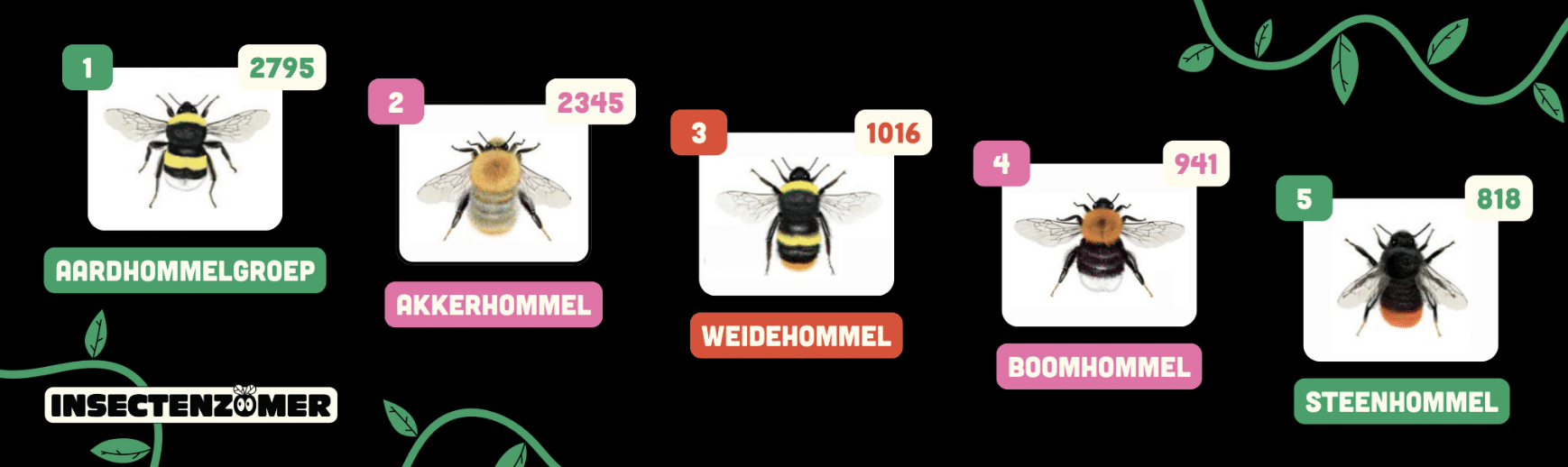 Resultaten Hommelweekend: veel hommels gezien tijdens een zonnig weekend