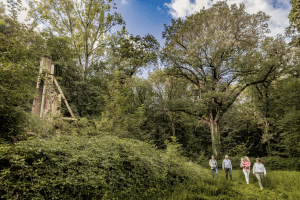 Wandelnetwerk Hoppeland uitgebreid tot 216 km