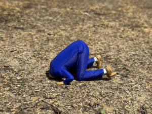 Help de koppen uit het zand!