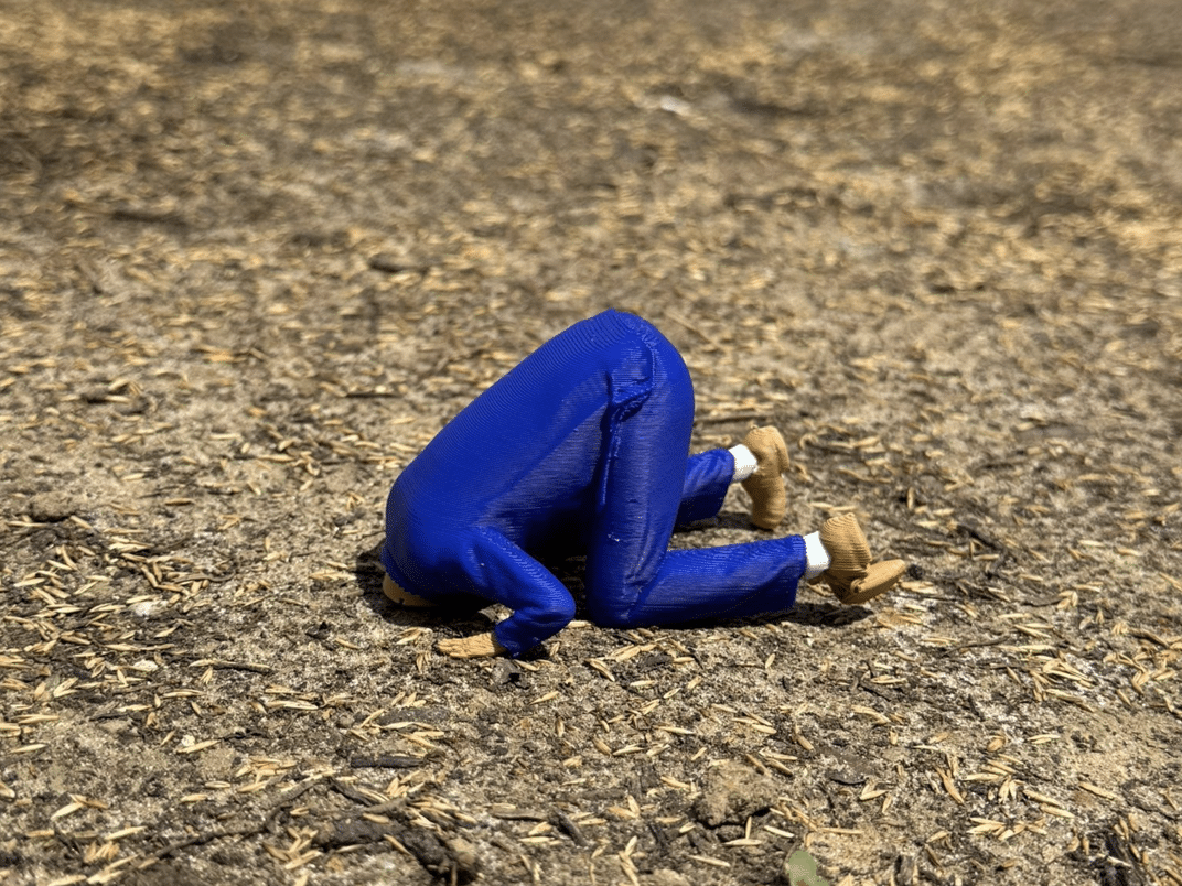 Help de koppen uit het zand!
