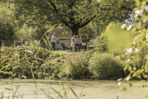 Domein De Brielmeersen te Deinze viert 50-jarig jubileum met gratis feest op 15 augustus
