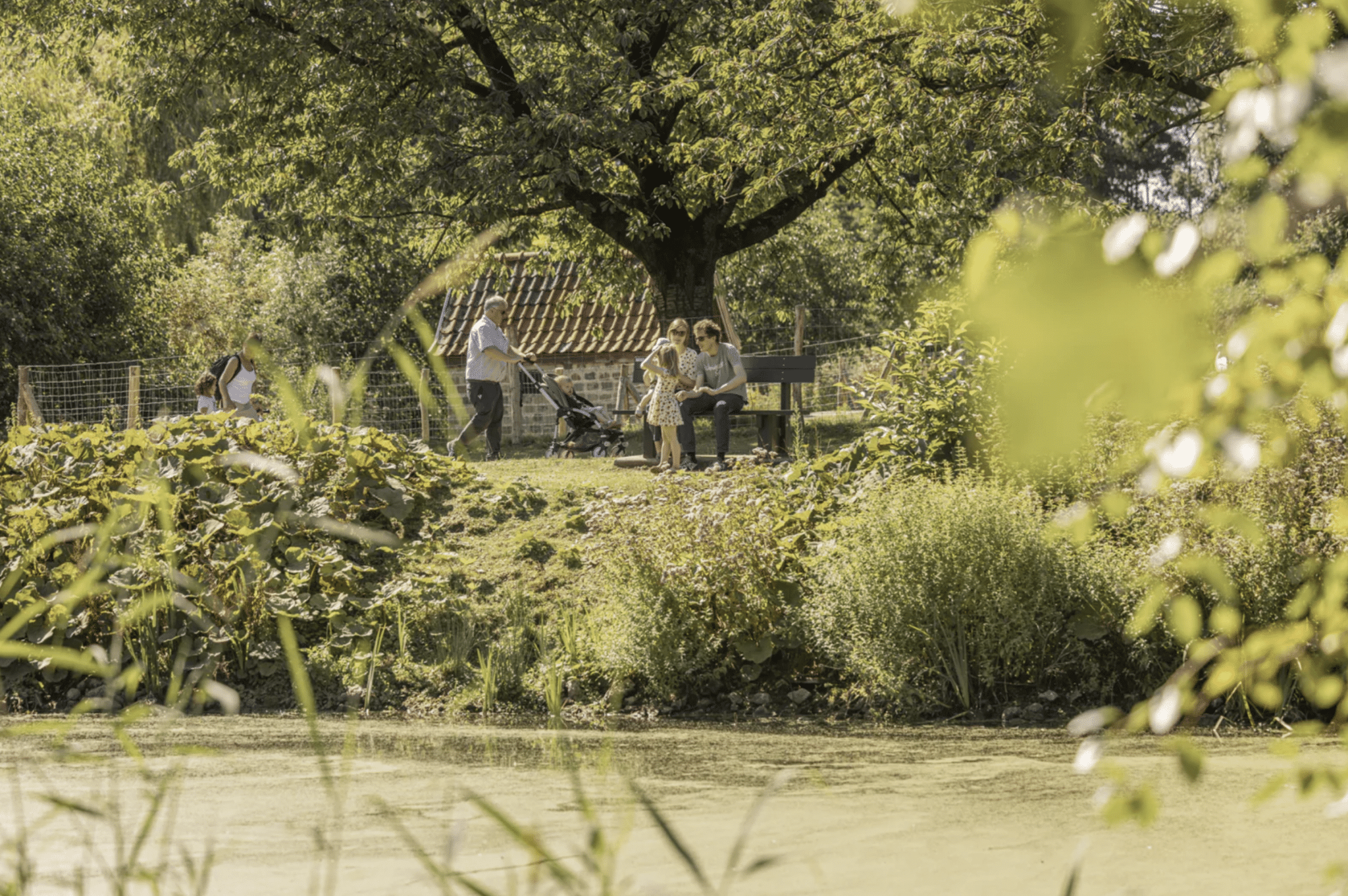 Domein De Brielmeersen te Deinze viert 50-jarig jubileum met gratis feest op 15 augustus