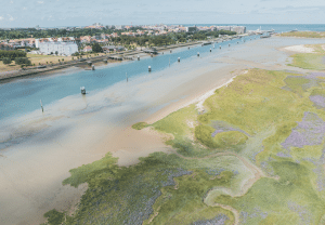 Nieuwpoort is de populairste fietsbestemming van Vlaanderen