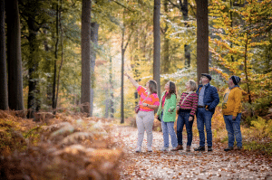 Ontdek de Oost-Vlaamse natuur tijdens de Week van het Bos