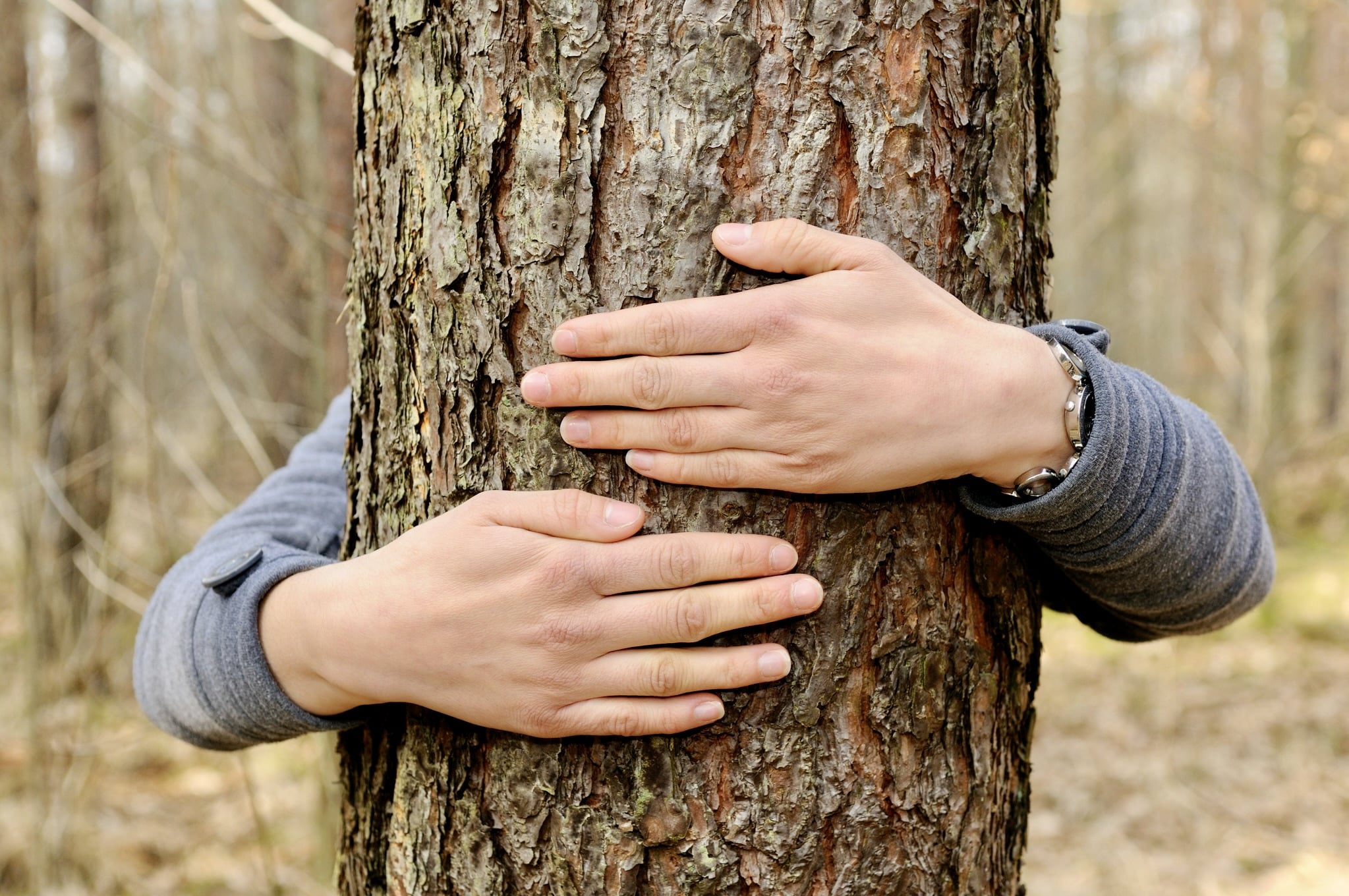 Familiehulp vzw viert 75-jarig bestaan met 13.000 bomen: grootste plantactie in Tielt-Winge 