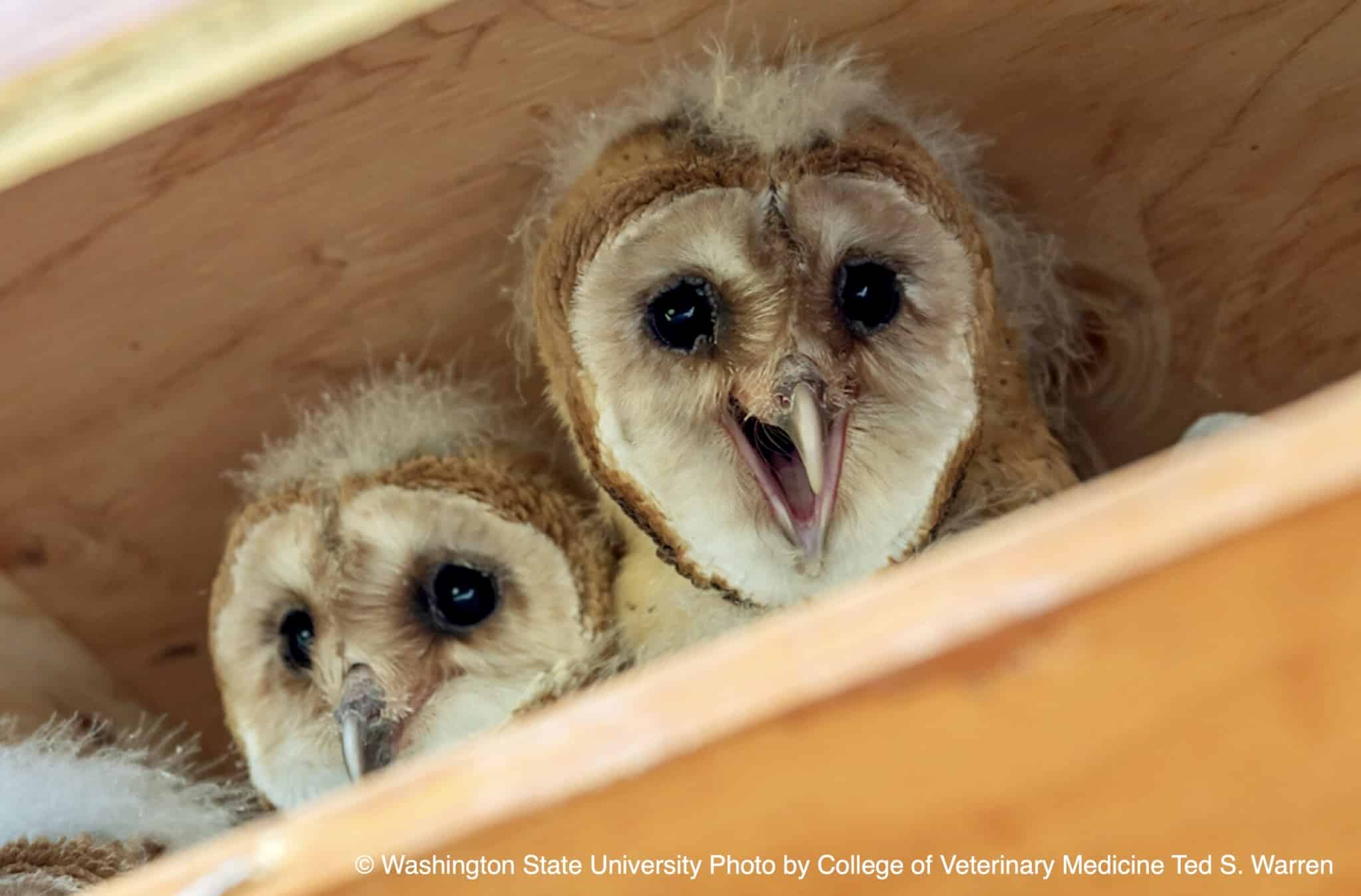 Natuurpunt viert Dag van de Natuur met activiteiten in 75 natuurgebieden