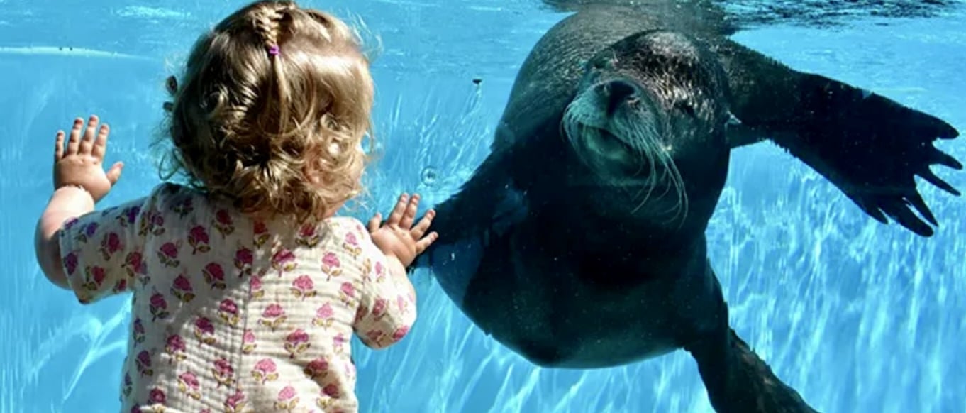 Bruges Christmas Festival is terug met tweede, uitgebreide editie