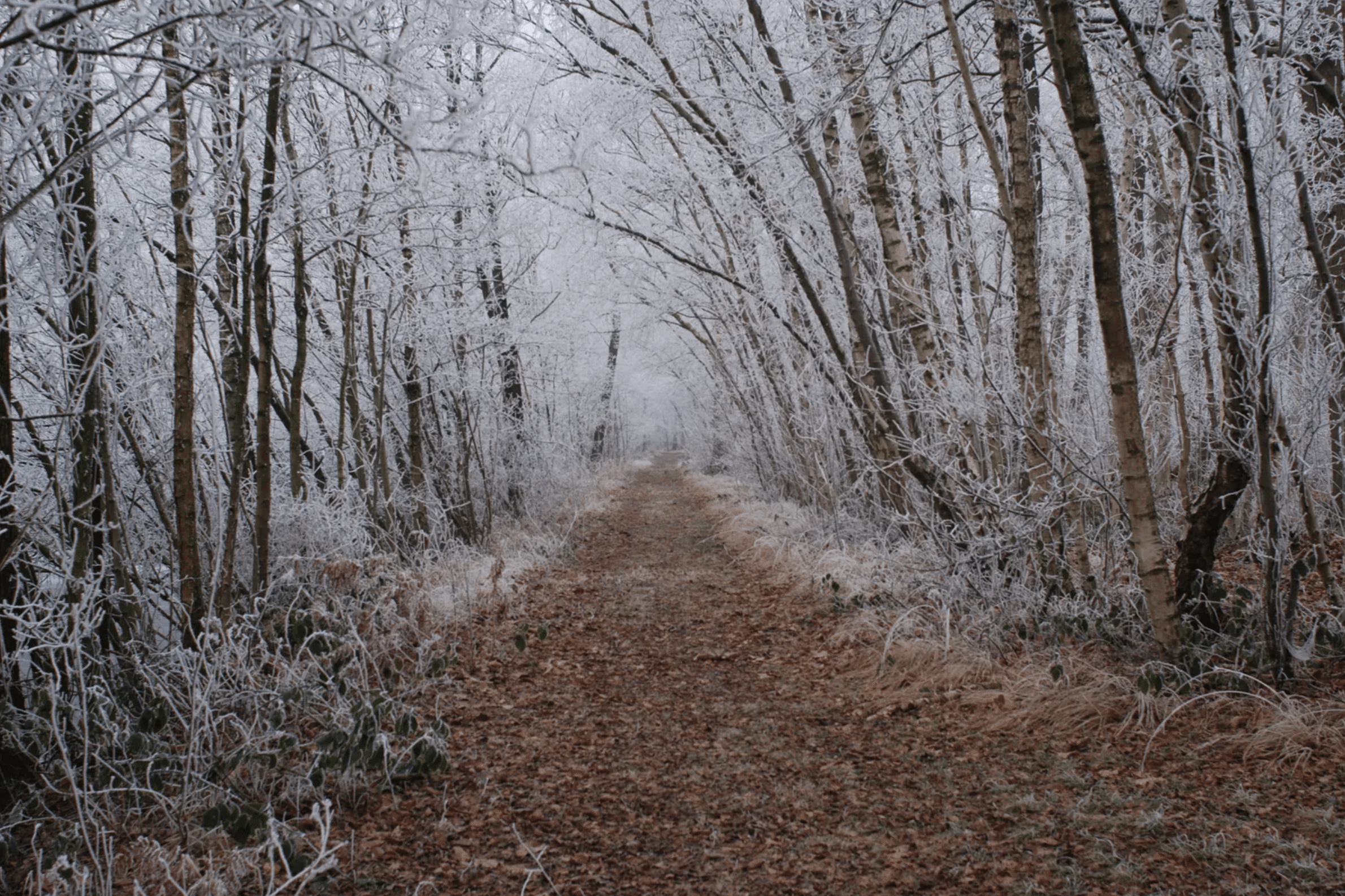 Op stap in Oost-Vlaanderen met winteraanbod Provincie