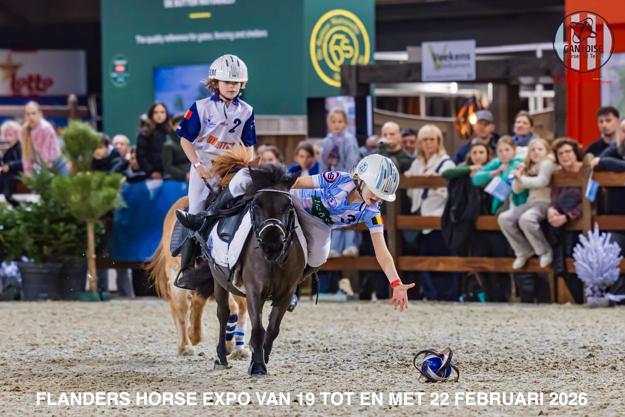 Flanders Horse Expo van 19 tot en met 22 februari 2026