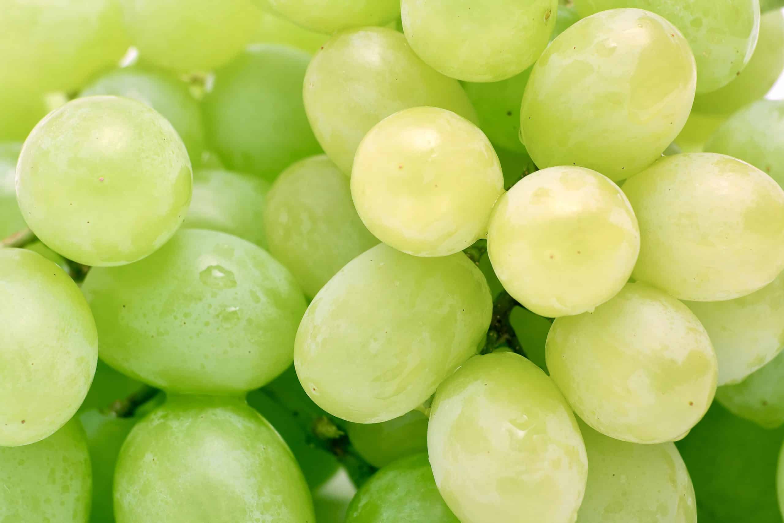 Samen naar minder CO₂-uitstoot