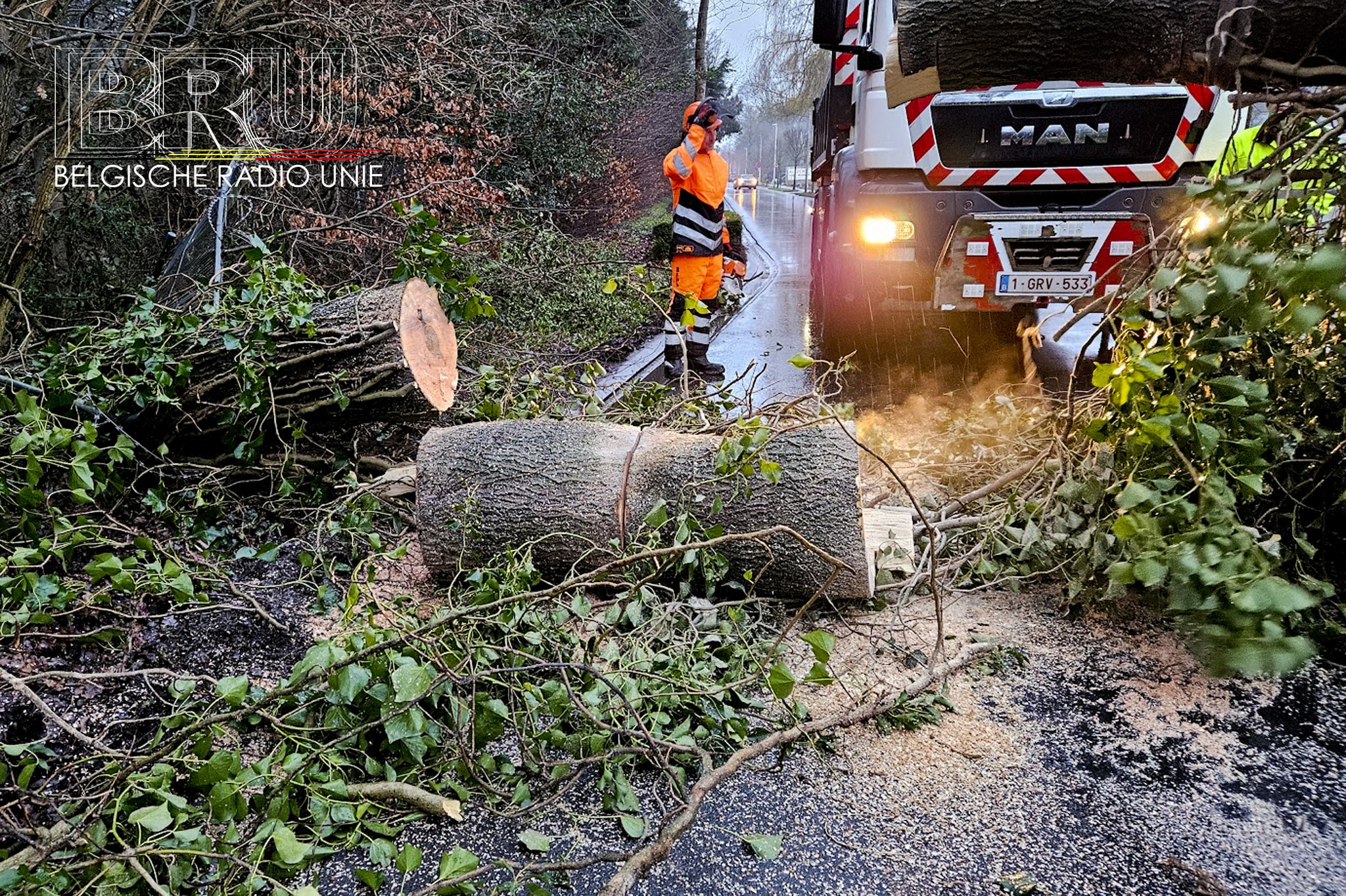 Boom verspert Eugene de Grootelaan: Brandweer en gemeente urenlang in de weer bij de Fabrieksput