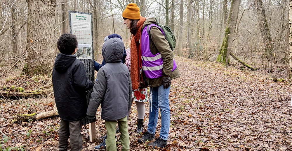Doe-wandeling in Het Leen laat je het verborgen leven van bomen ontdekken