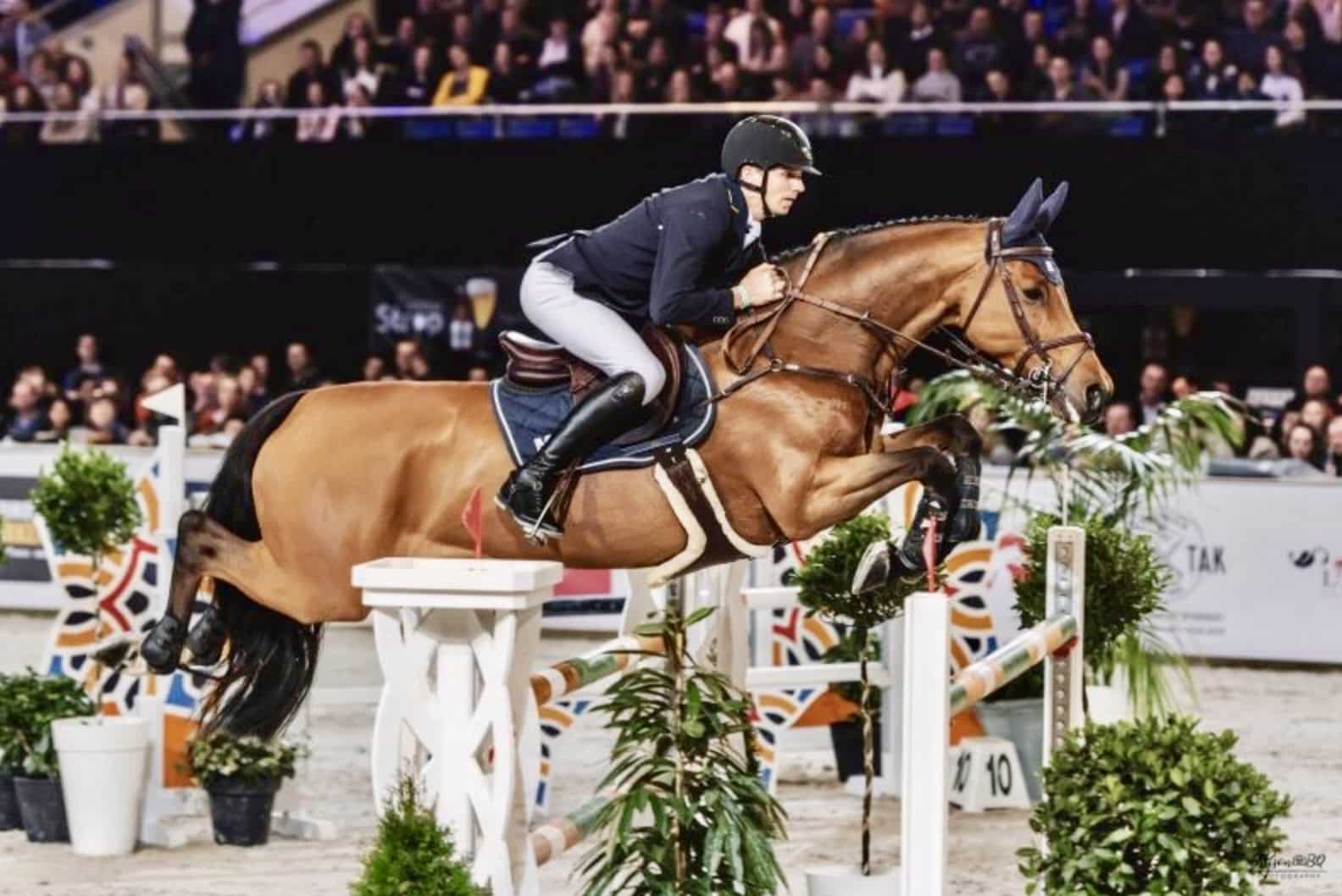Flanders Horse Expo 2026: een succesvolle editie vol hoogtepunten en verbeterpunten