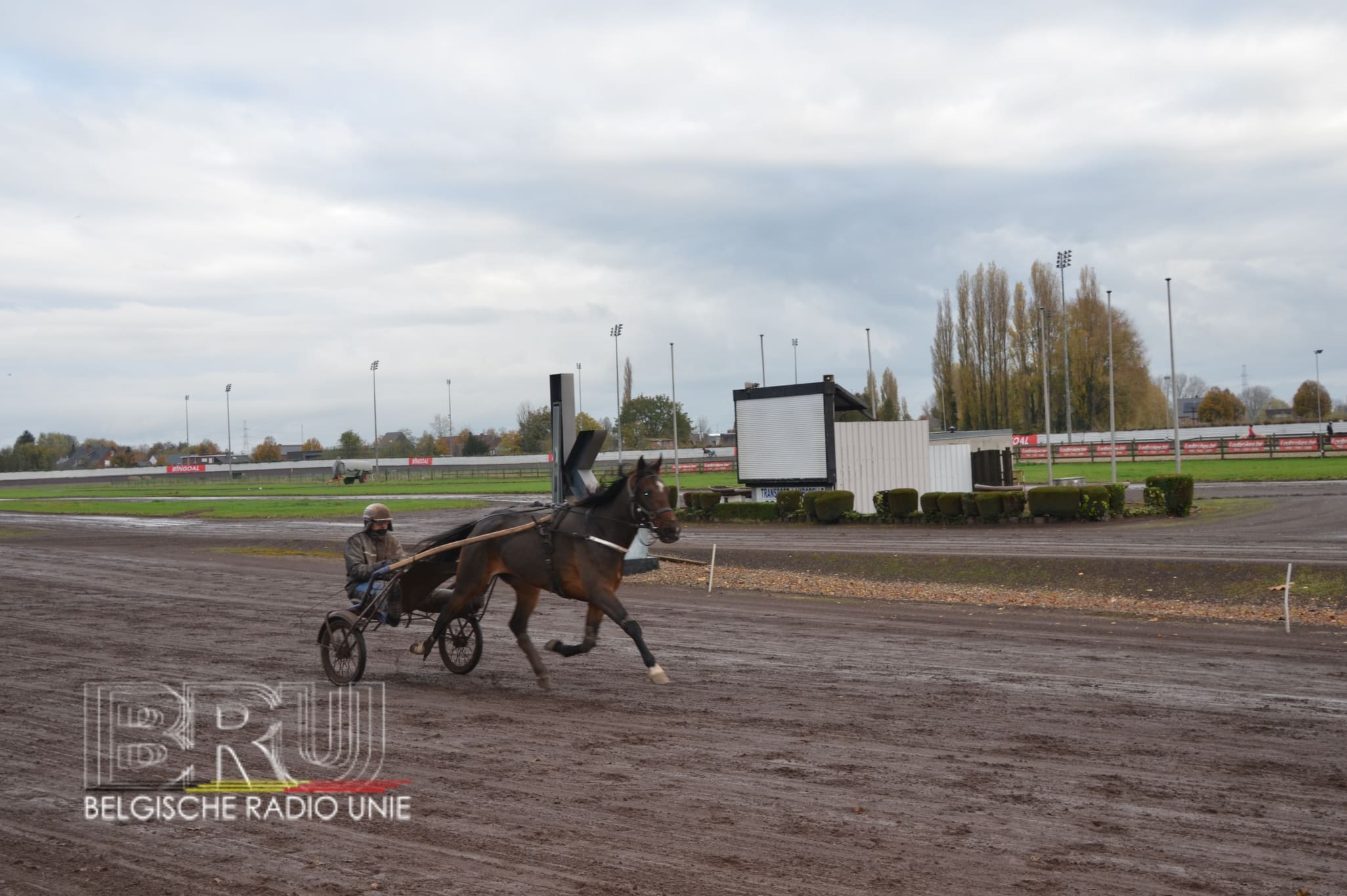 Onzekere toekomst voor hippodroom Kuurne: trainingen stoppen vanaf één april