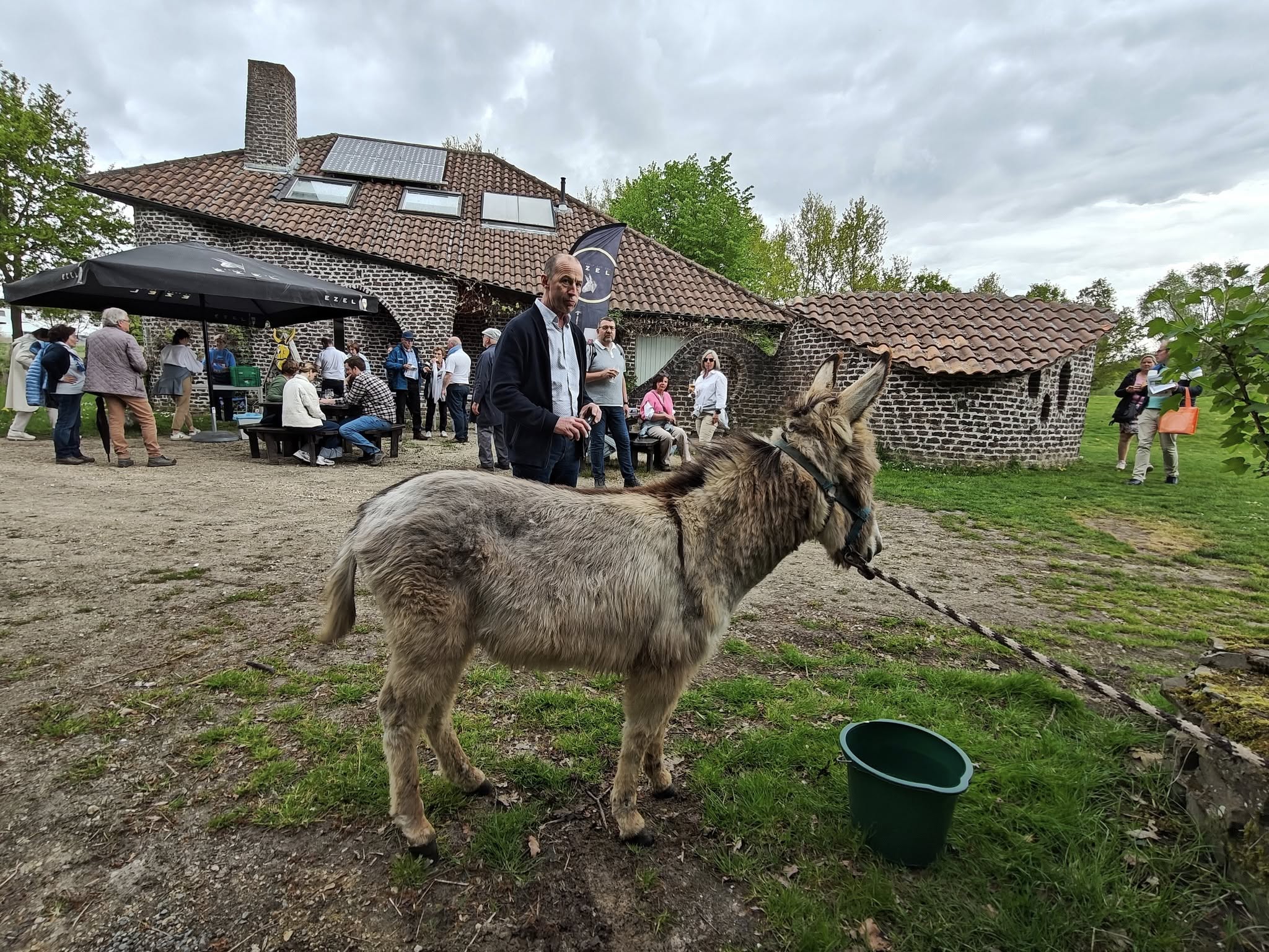 Koning Ezelwandeling