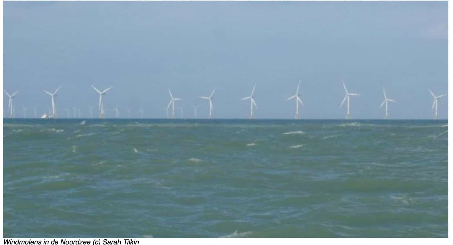 Nieuw marien ruimtelijk plan: driedubbele winst voor energie, klimaat en natuur