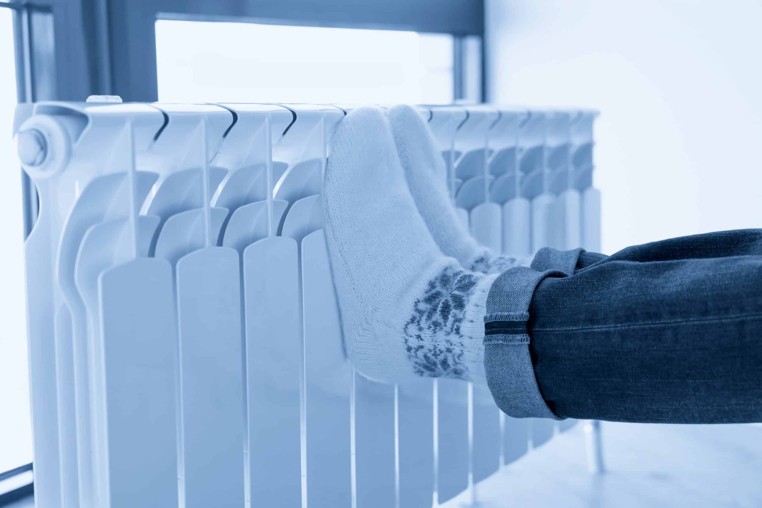 5 alternatieven voor het Hallerbos