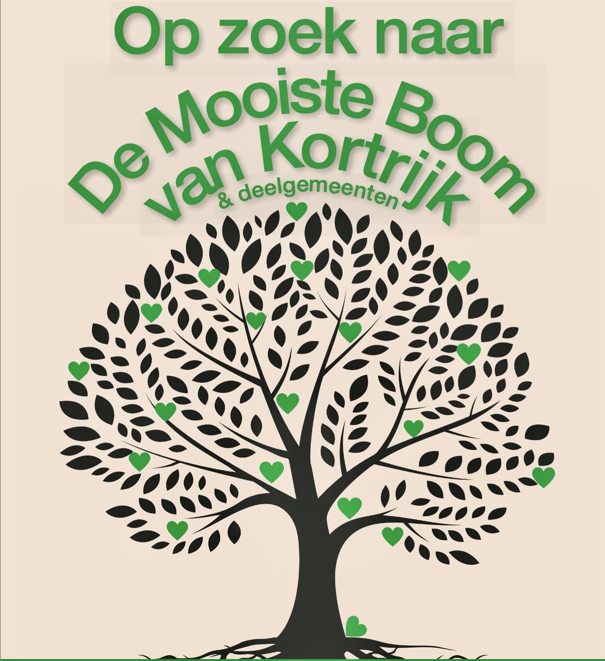 Op zoek naar de “mooiste boom van Kortrijk en de deelgemeenten”
