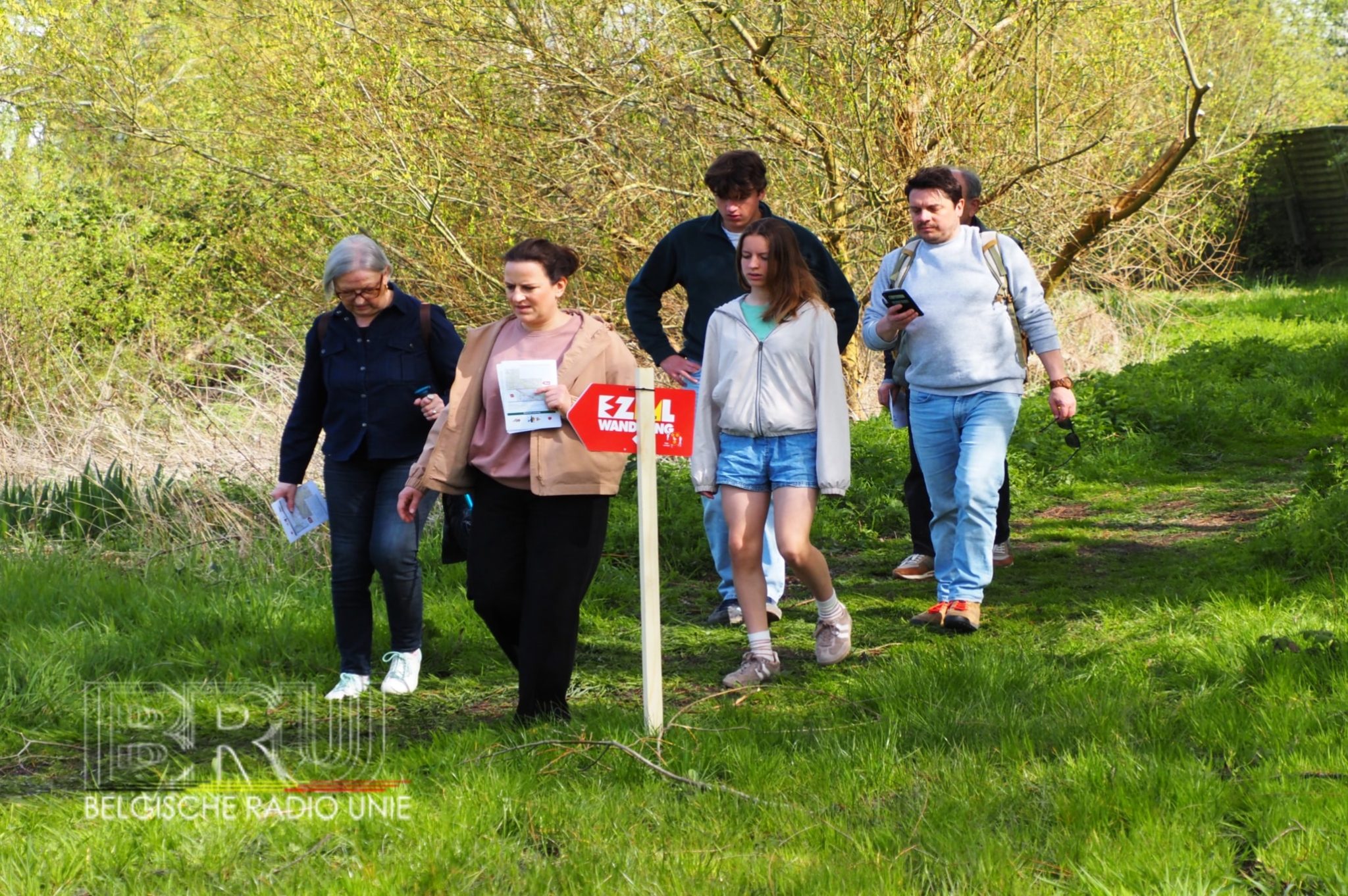 Koning Ezelwandeling