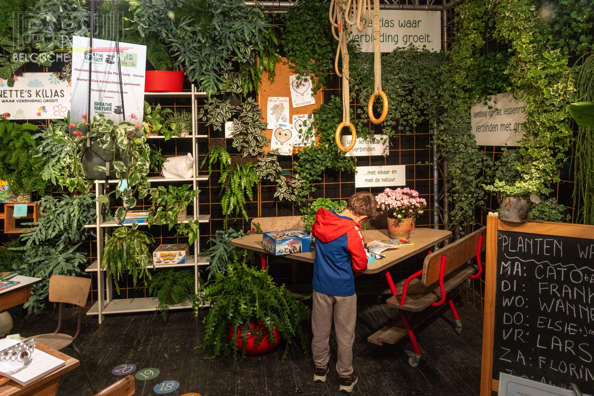 Gentse Floraliën 2026: sterk openingsweekend met 20.000 bezoekers en recordtoeloop in zicht