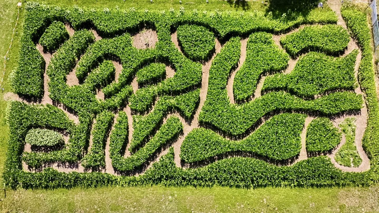 Nieuw doolhof en gratis zomeractiviteiten in De Brielmeersen