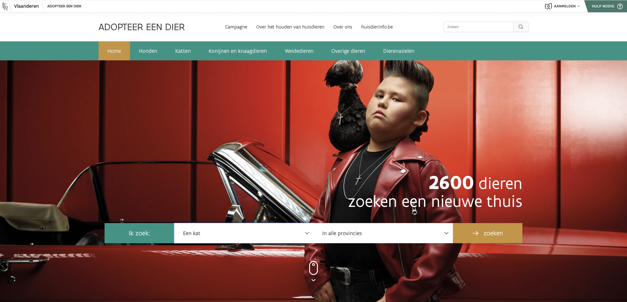 Dit jaar al meer dan 6.300 dieren geholpen via adopteereendier.be