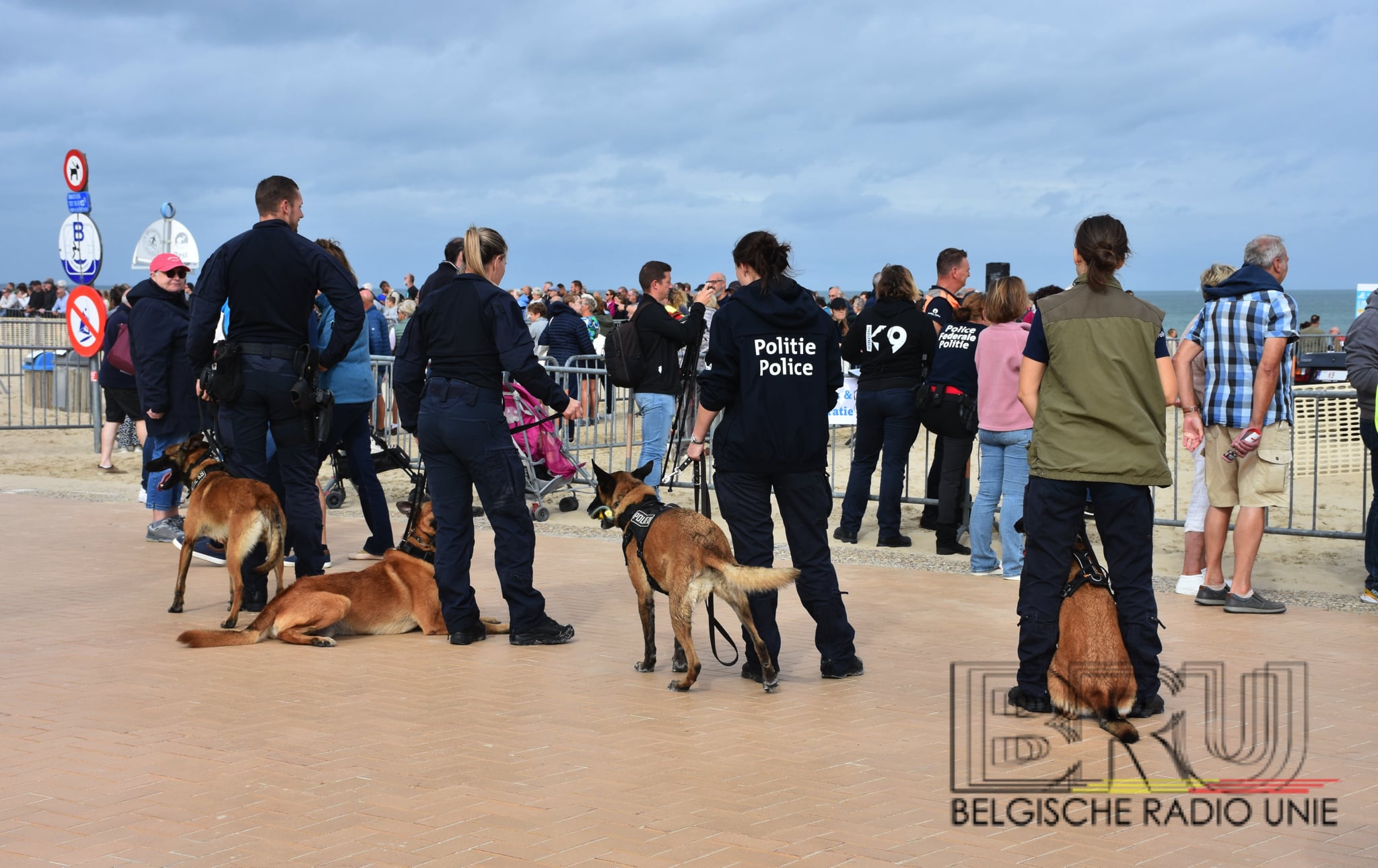Viervoeters in actie: Koksijde maakt zich op voor zesde editie International K9-Day