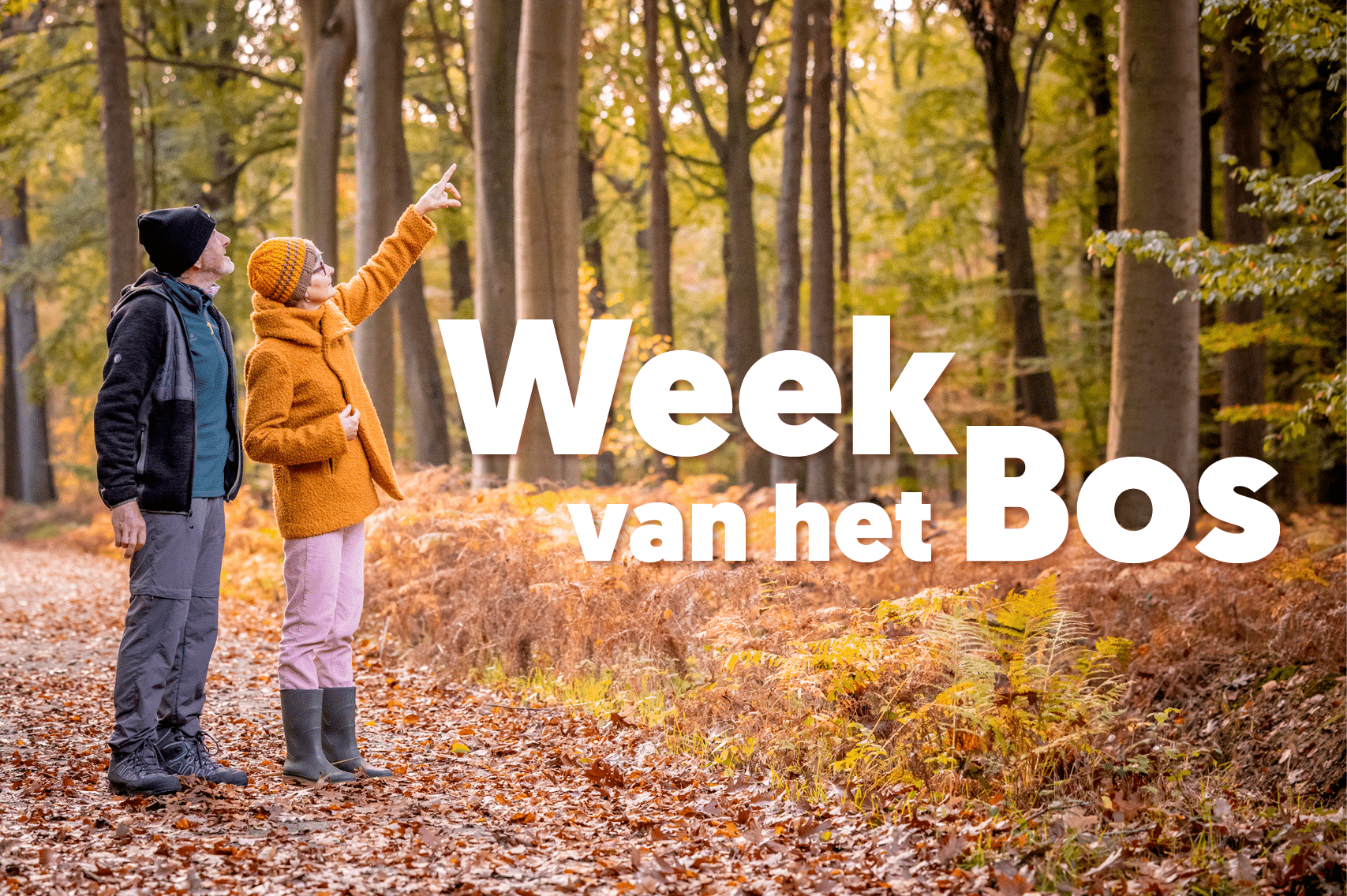 Ontdek de Oost-Vlaamse natuur tijdens de Week van het Bos