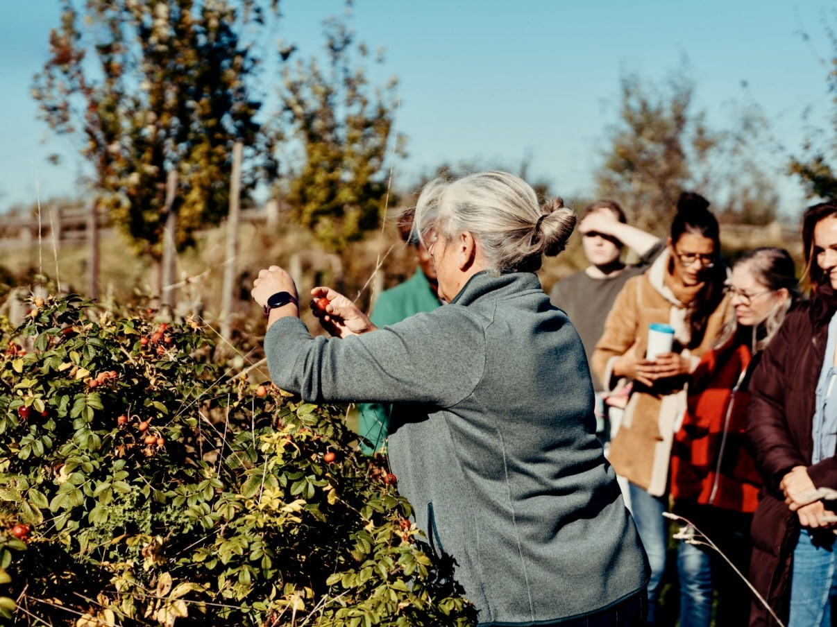 60 gastvrouwen en – heren zetten Landschapspark Zwinstreek in de kijker