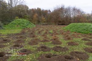 Aanplanting geboortebos Harelbeke/Deerlijk 2024