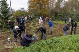 Aanplanting geboortebos Harelbeke/Deerlijk 2024