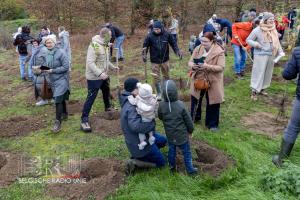 Aanplanting geboortebos Harelbeke/Deerlijk 2024