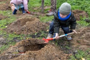 Aanplanting geboortebos Harelbeke/Deerlijk 2024