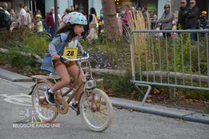 Ezelsfeesten 2024 Dag 4