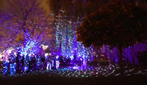 Heldenlicht Veldegem 2024