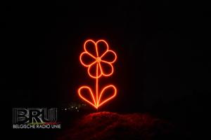 Heldenlicht Veldegem 2024