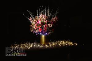 Heldenlicht Veldegem 2024