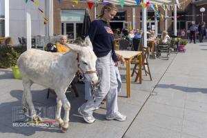 Kermis woonzorgcentrum Zorg en Welzijn Kuurne