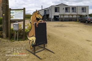 De paardenmelkerij van Filippus uit Maldegem