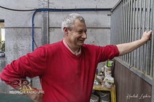 De paardenmelkerij van Filippus uit Maldegem